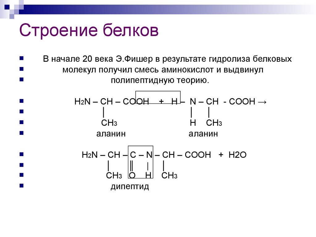 Белки химия 9 класс презентация