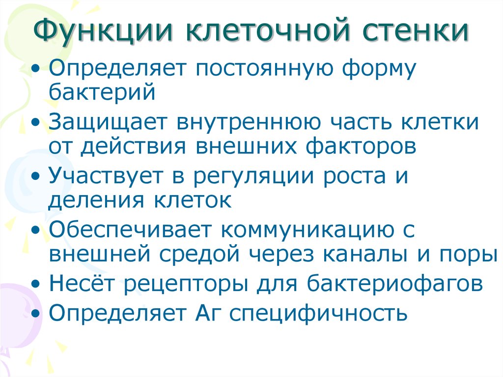 Функция стенки. Функции бактериальной клеточной стенки. Функции клеточной стенки бактерий. Стенка клетки функции. Клеточная стенка функции в клетке.