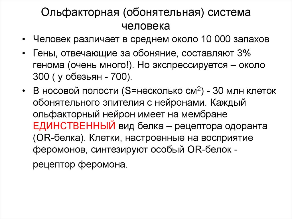 Ольфакторный. Сульфактарная система. Ольфакторная система общения. Ольфакторная коммуникация. Трансдукция обонятельного сигнала.