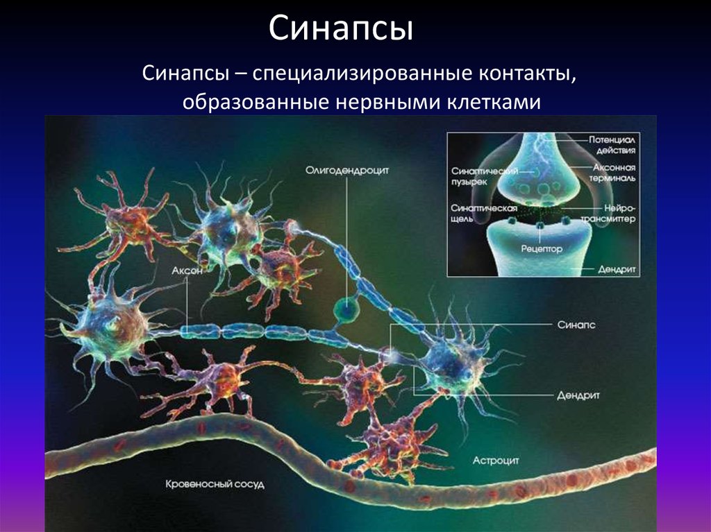 Обои аксон кострома