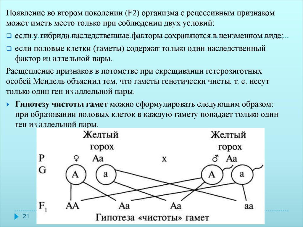 Дающих расщепления