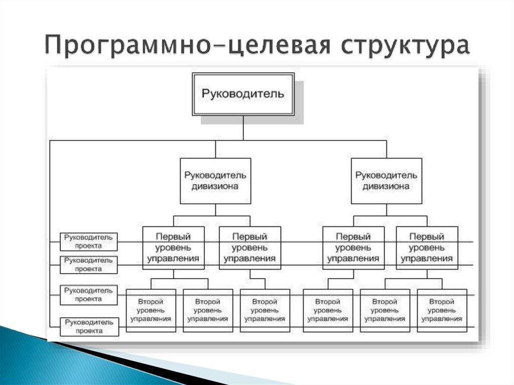 Двойственная организационная структура управления проектом