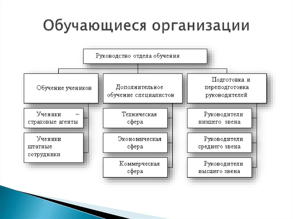 Виды организационных структур презентация