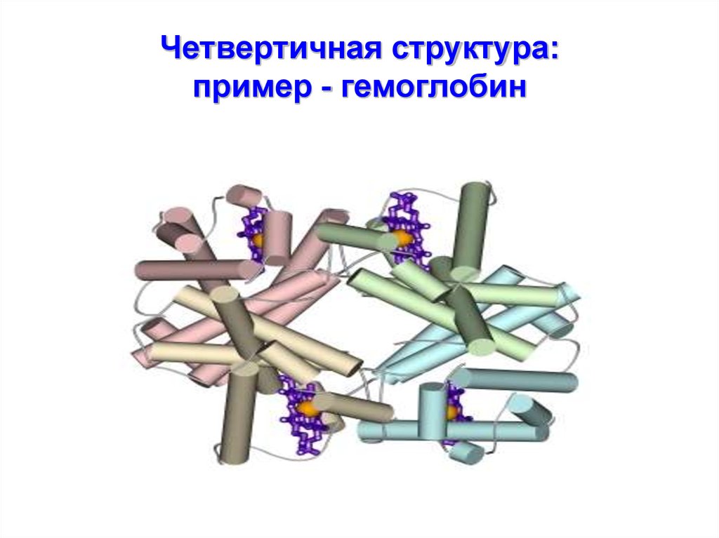 Четвертичная структура: пример - гемоглобин