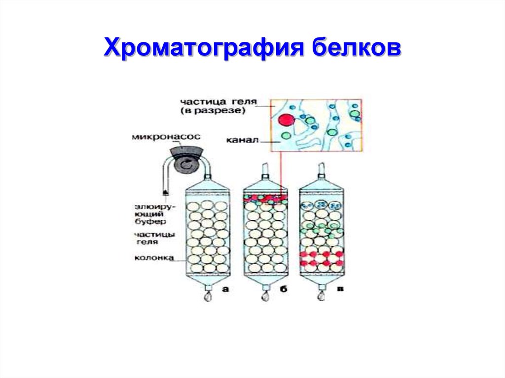 Ионообменная хроматография схема