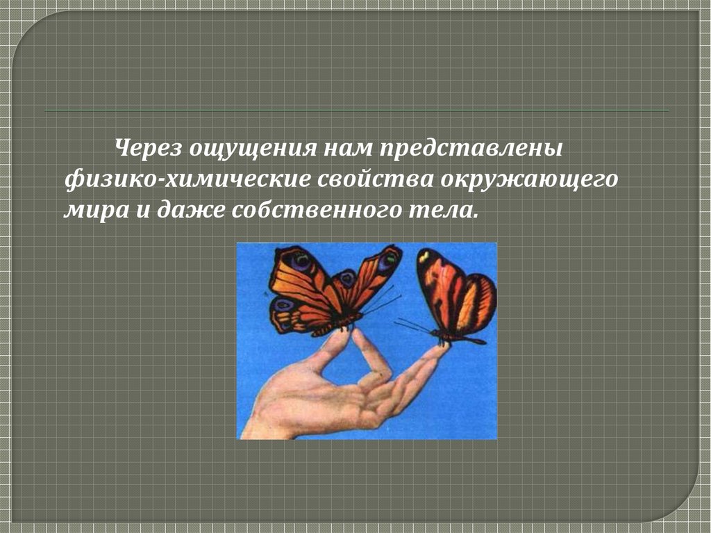 Ощущение спустя. Данное нам в ощущениях. Объективная реальность данная нам в ощущениях. Ощущать через что. Ребаланс через ощущения.