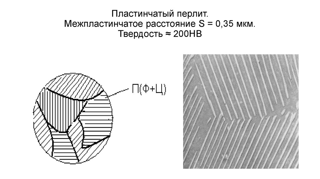 Пластинчатый мпа. Перлит пластинчатый у8. Структура перлит цементит пластинчатый. Перлит пластинчатый микроструктура. Эвтектоидная сталь пластинчатый перлит.