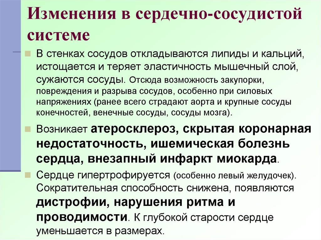 Система осуществляется. Изменения сердечно-сосудистой системы. Функциональные изменения сердечно-сосудистой системы. Изменения в сердечно сосудистой системе при физических нагрузках. Изменения сердечно-сосудистой системы при мышечной деятельности.