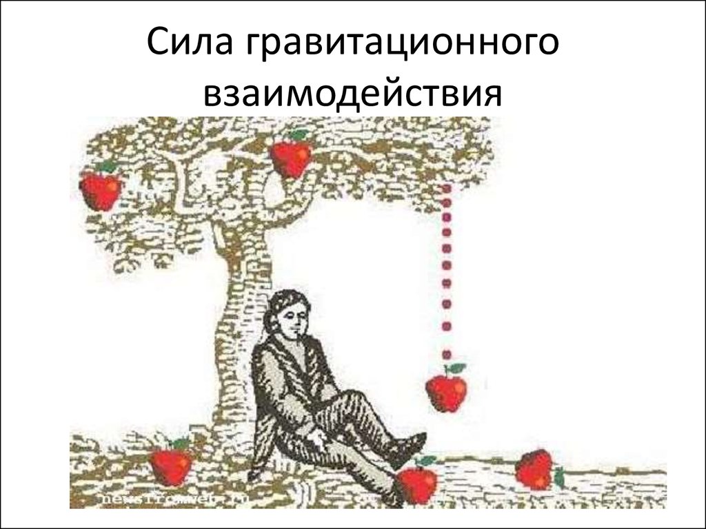 Закон всемирного тяготения взаимодействие. Закон тяготения Ньютона яблоко. Закон Всемирного тяготения картинки. Закан Всемирного тяготения рисунок.