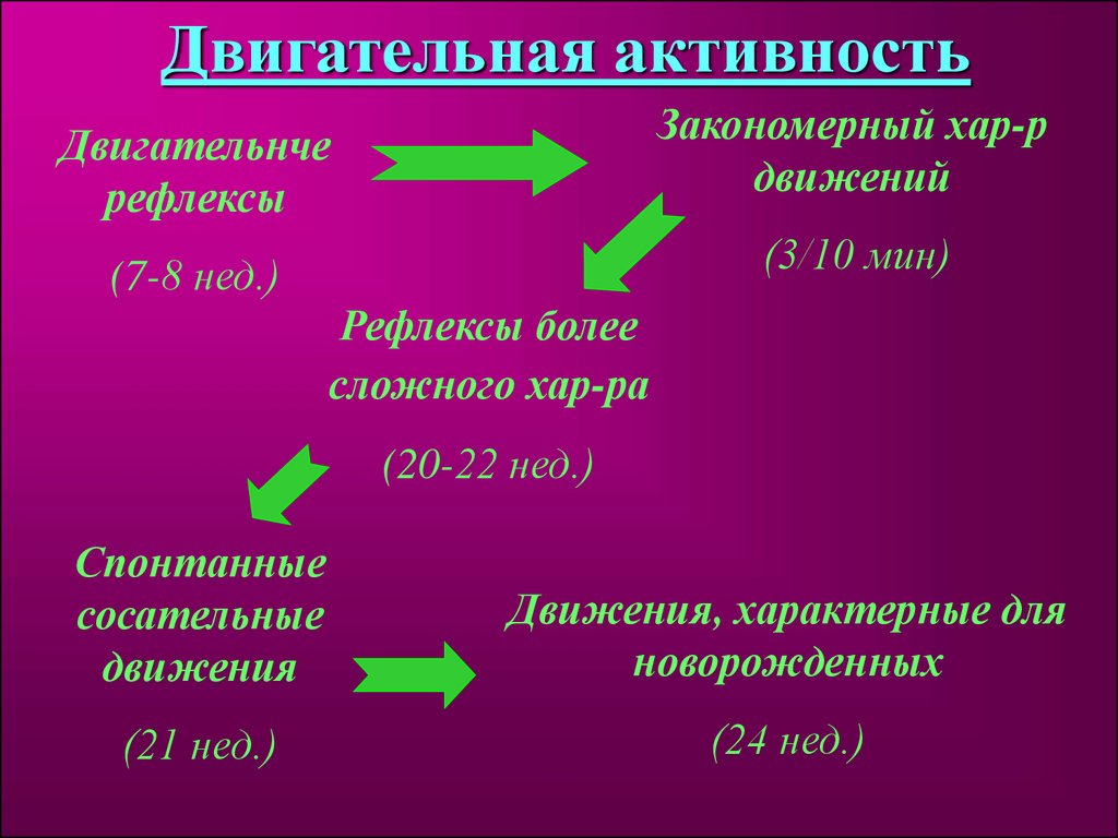 Презентация на тему физиология плода