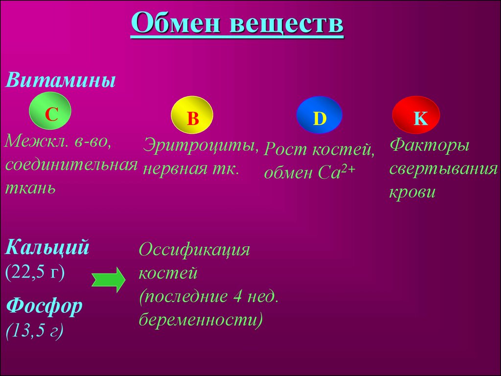 Презентация на тему физиология плода