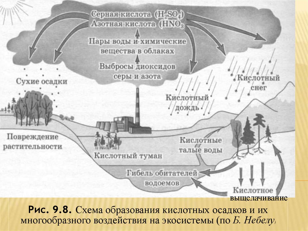 Схема образования кислотных осадков