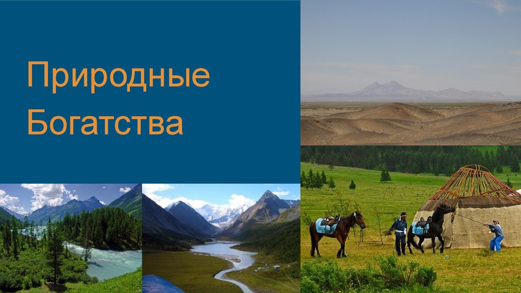 Природные ресурсы алтайского. Богатства Алтайского края. Природные богатства Алтайского края. Алтайский край презентация. Природные богатства Алтайского края презентация.