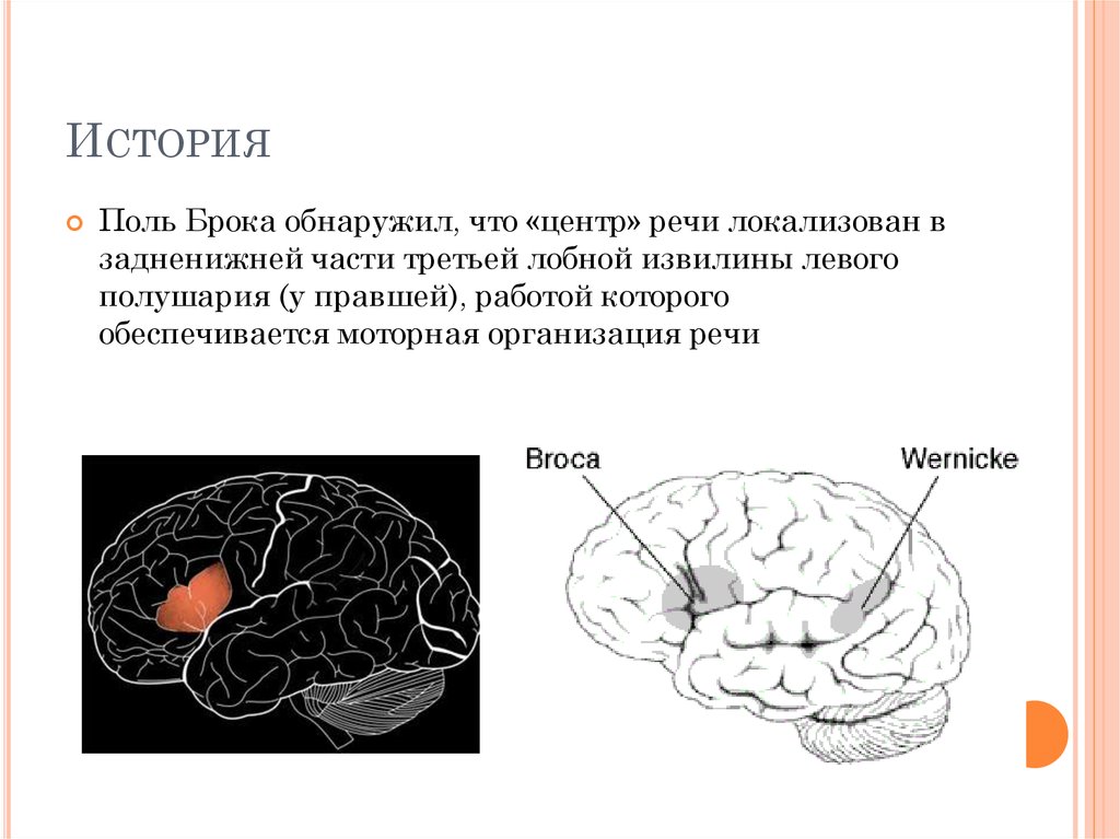 Поль брока. Асимметрия головного мозга. Межполушарная асимметрия головного мозга. Центр Брока у правшей расположен.
