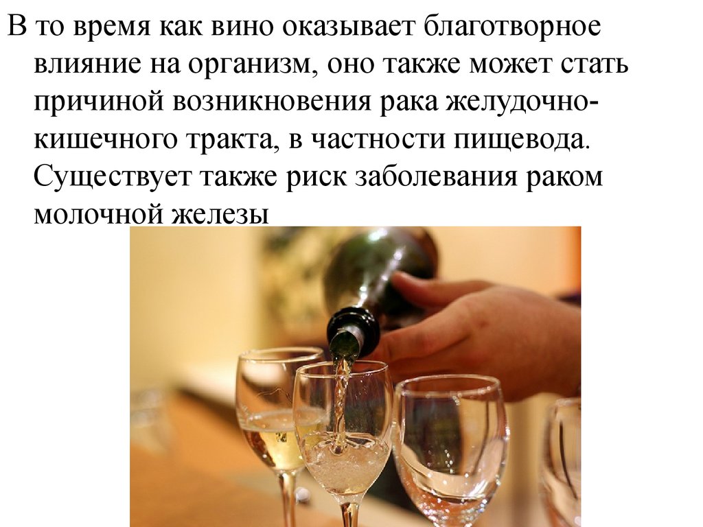 Притча вино. Интересные факты о вине. Факты про вино. Интересные факты о вине и бутылке. Интересное про вино.