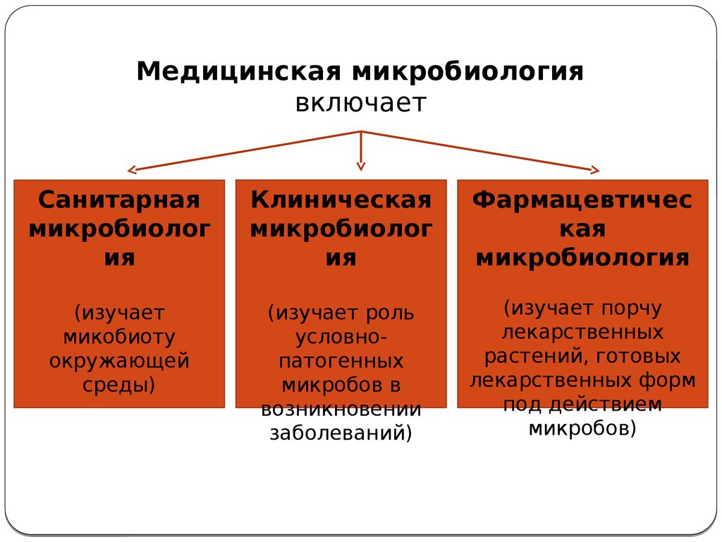 Микробиология изучает. Медицинская микробиология. Санитарная микробиология изучает. Клиническая микробиология изучает. Фармацевтическая микробиология изучает.