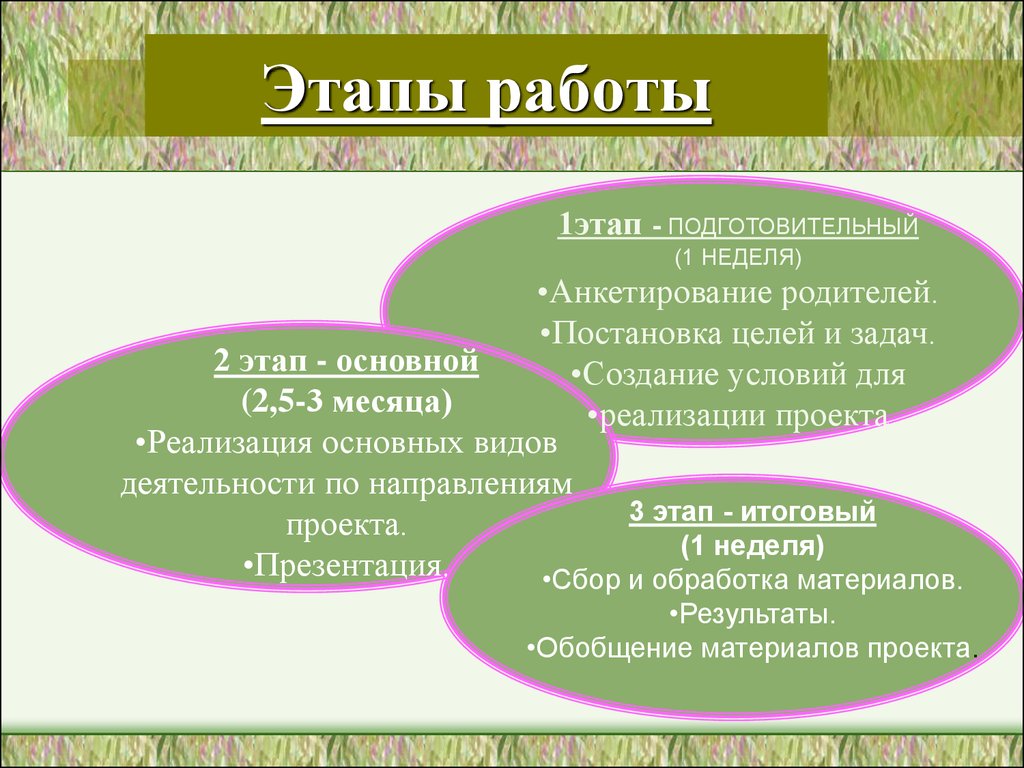 Подготовительные период цели. 1 Этап подготовительный. Условия подготовительного этапа.