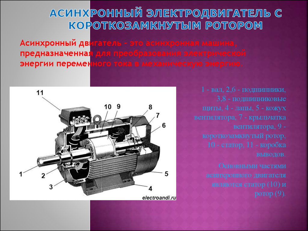 Роторы асинхронных машин бывают