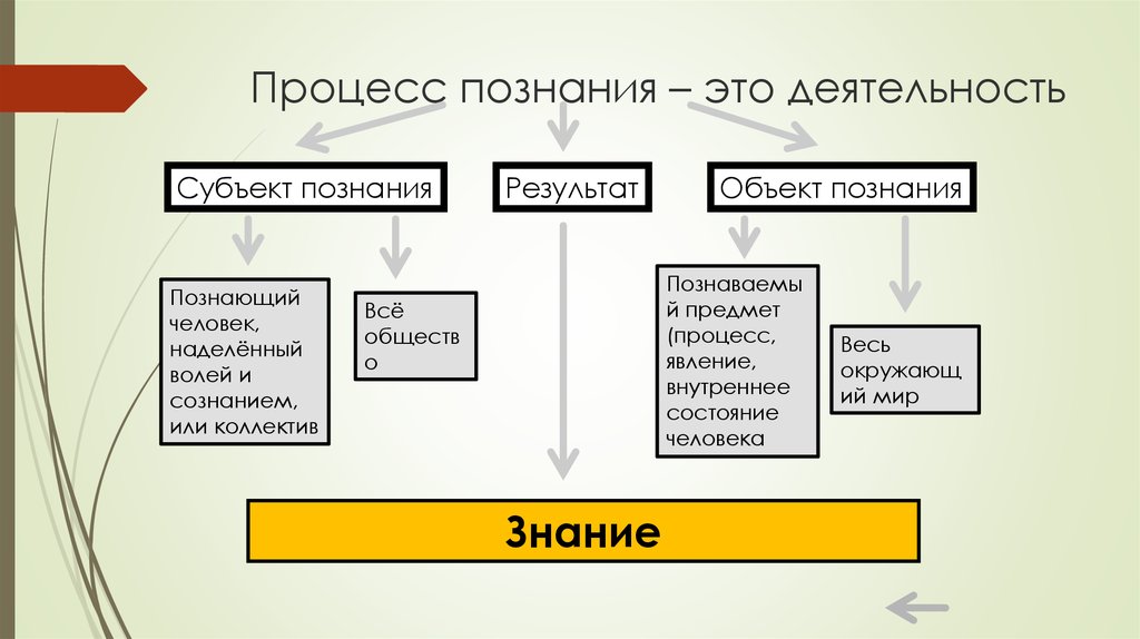 План на тему проблема познаваемости мира