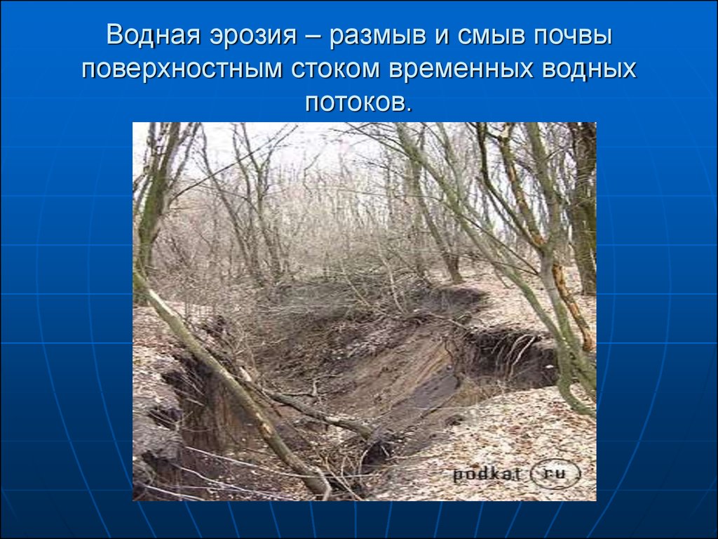 Водная эрозия. Смыв почвы. Смыв почвы водными потоками. Эрозия почвы.