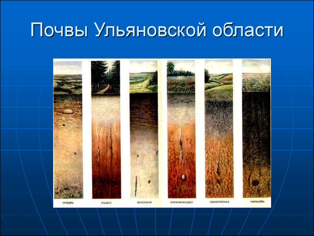 Почвы гор. Почвы Ульяновской области. Почва Ульяновской области 4 класс. Карта почв Ульяновской области. Ульяновская область разрез почв.