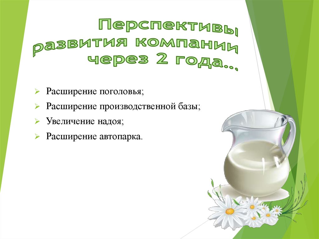 Перспективы развития компании через 2 года…