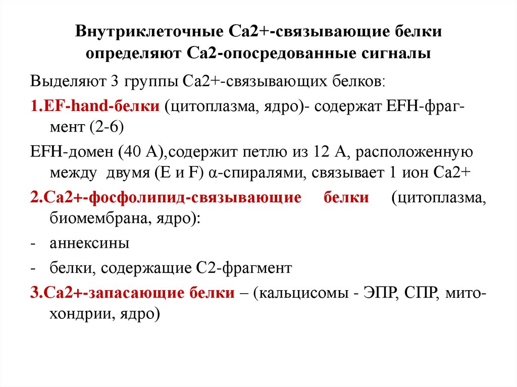 Са это. К основным са2+ - связывающим белкам относятся:. Са 2+ - связывающие белки можно разделить на 3 основные группы. CA связывающие белки. Са2+-связывающих белков (GLA-белки).