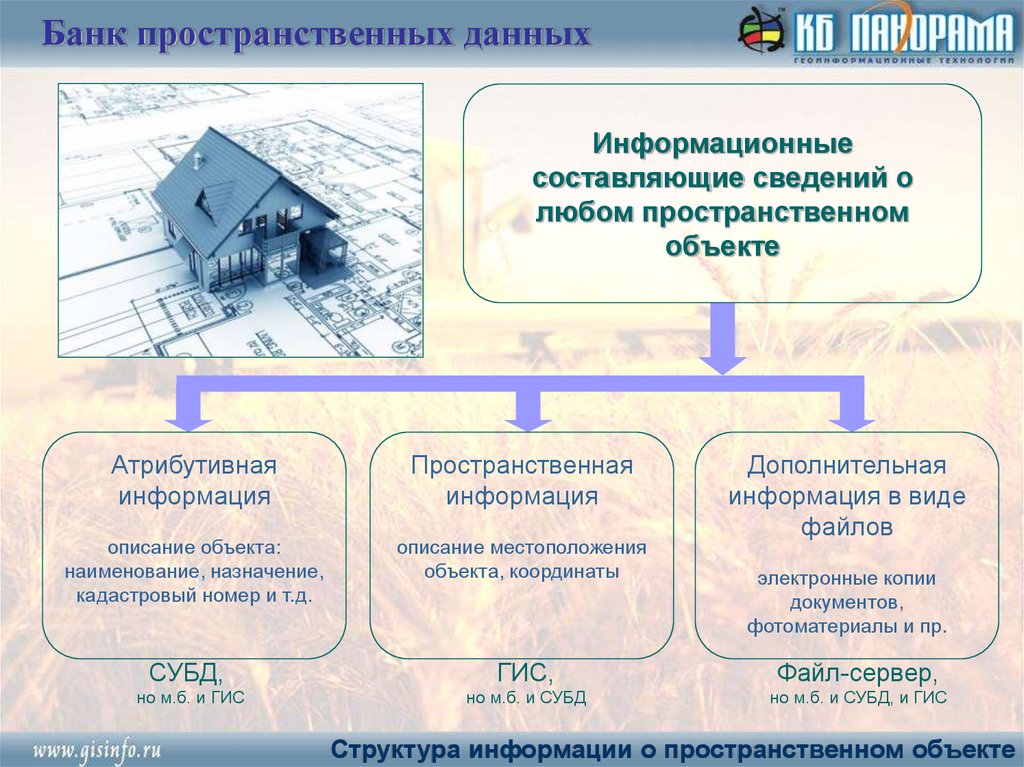 Гис атз. Пространственные базы данных. Банк пространственных данных. Виды пространственных данных. Пространственные данные в ГИС.