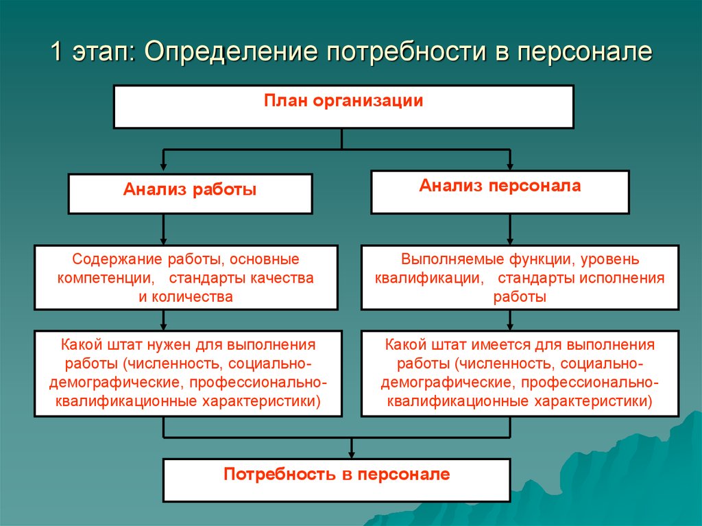 План потребность в рабочей силе и подготовке квалифицированных кадров включает