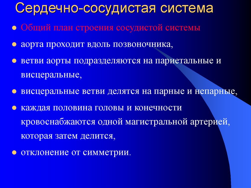 Закономерности ветвления сосудов зависят от плана строения органа