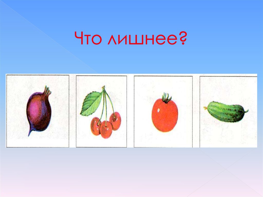И овощ и ягода 4