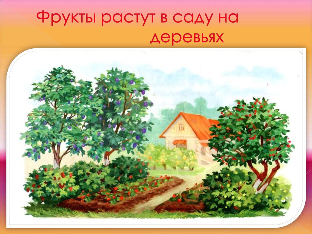 Картинка сад для детей. Фрукты растут в саду. Сад с фруктами для детей. Картина фруктовый сад для детей. Что растет в саду.
