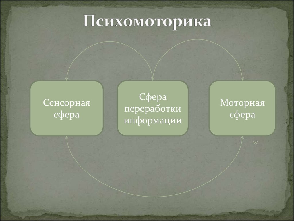 Схема структуры психомоторных способностей по в п озерову предусматривает сколько уровней