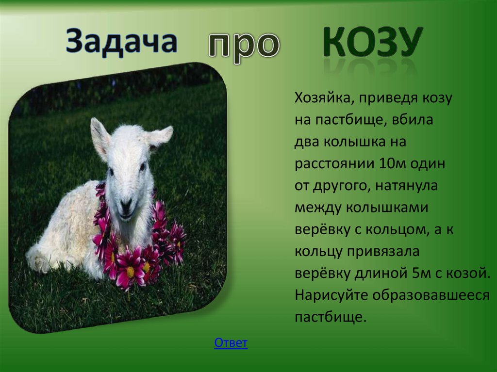 3 литровые банки вишневого сока. Задача по рисунку. Гусеницы повредили листья яблони как это отразится на урожае и почему. Задача хозяйка. На зиму семья заготовила 8 двухлитровых банок компота.