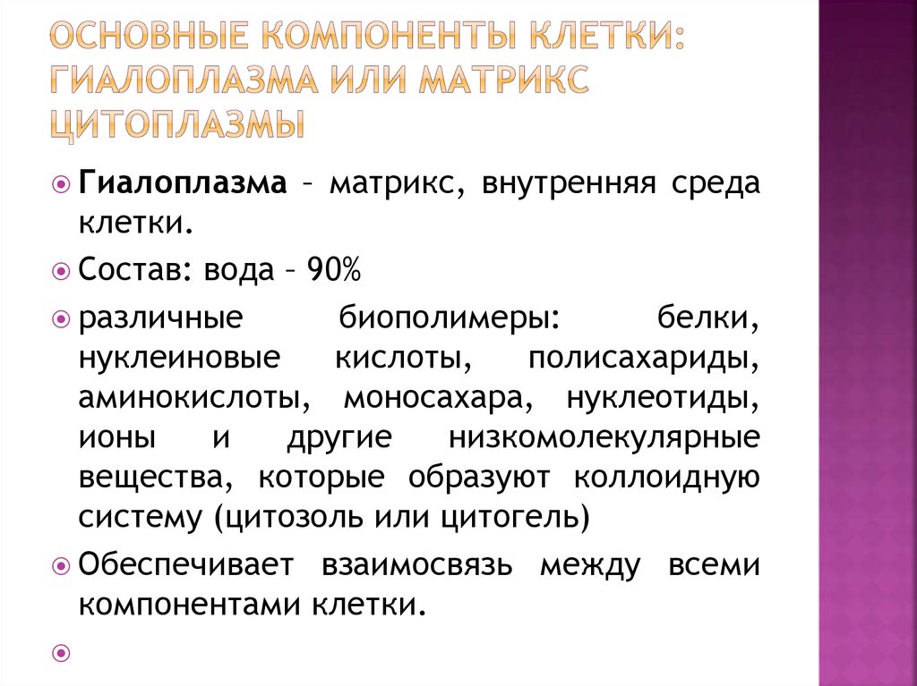 Гиалоплазма. Основные компоненты клетки. Основной компонент клетки. Гиалоплазма Матрикс.