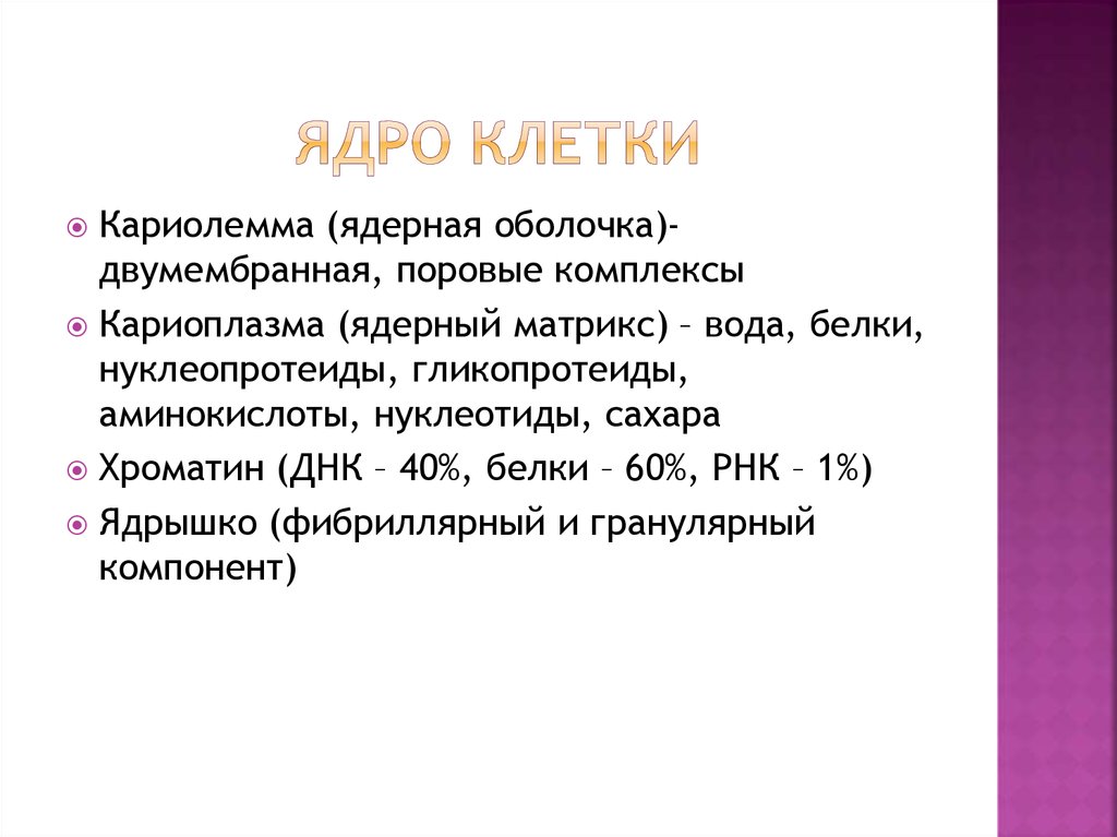 Растворение кариолеммы. Кариоплазма и ядерный Матрикс. Ядерная оболочка кариолемма. Кариолемма и кариоплазма. Функции кариолеммы.