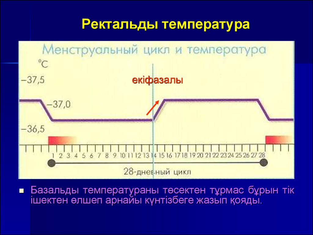 Пд токи