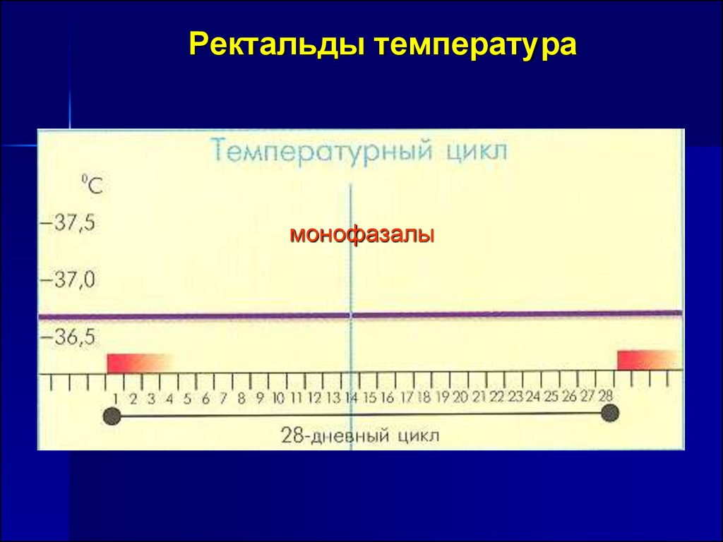 Температура цикла. 27 Дневный цикл.