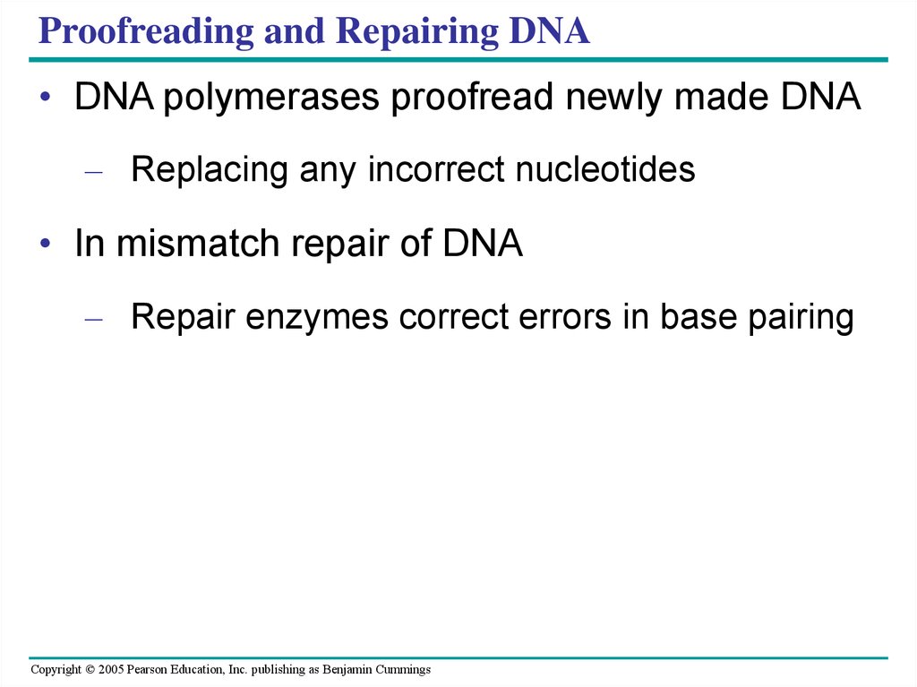 Proofreading and Repairing DNA