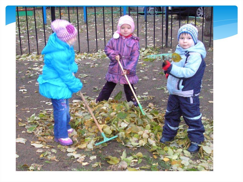 Трудовая деятельность детей. Труд детей в детском саду. Труд детей в природе в детском саду. Коллективный труд в детском саду. Труд на участке в детском саду.