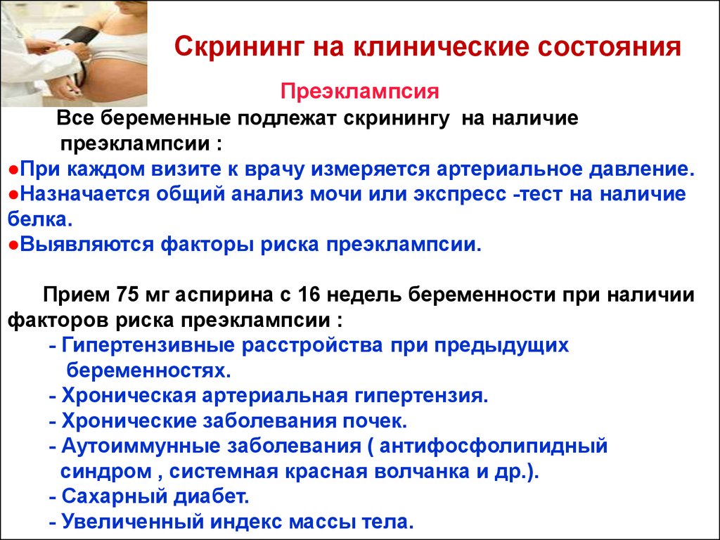 Сроки скринингов