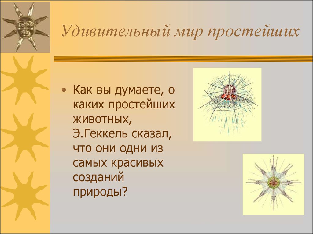 Простейшие урок 8 класс. Корненожки радиолярии солнечники Споровики. Мир простейших. Солнечники представители. Тип простейшие.