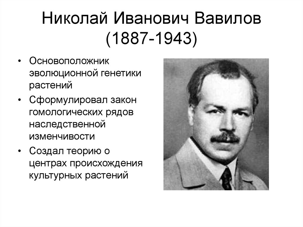 Советские ученые биологи. Николай Иванович Вавилов (1887-1943). Вавилов Николай Иванович биолог. Николай Иванович Вавилов 1887. 1887 — 1943 Николай Вавилов русский генетик, селекционер.