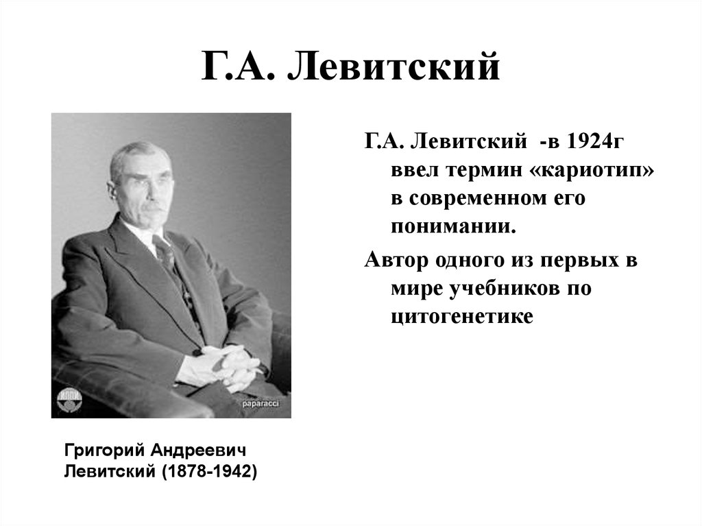 Левитский