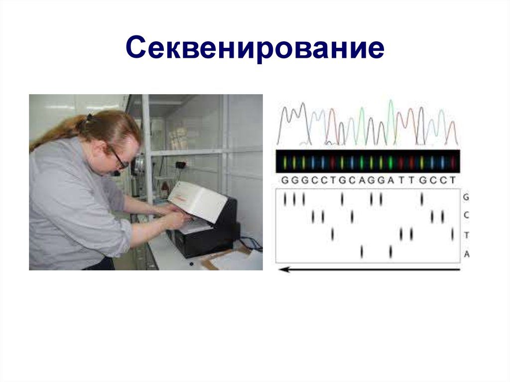 Секвенирование нуклеотидов. Секвенирование ДНК. Секвенирование метод в биологии. Секвенирование нуклеиновых кислот. Секвенирование в медицине.