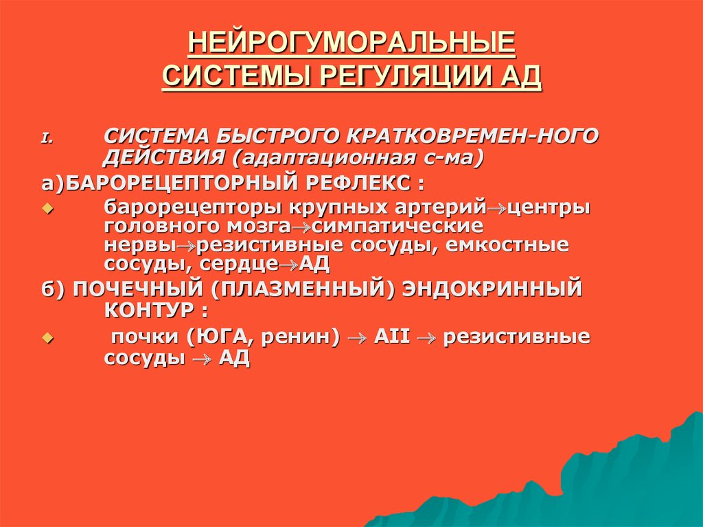 Система ада. Барорецепторы.