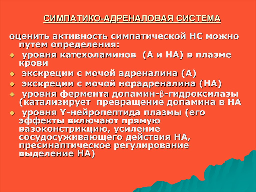 Симпато адреналовая система презентация