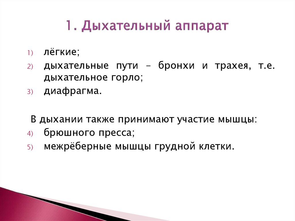 Презентация анатомо физиологические механизмы речи - 88 фото