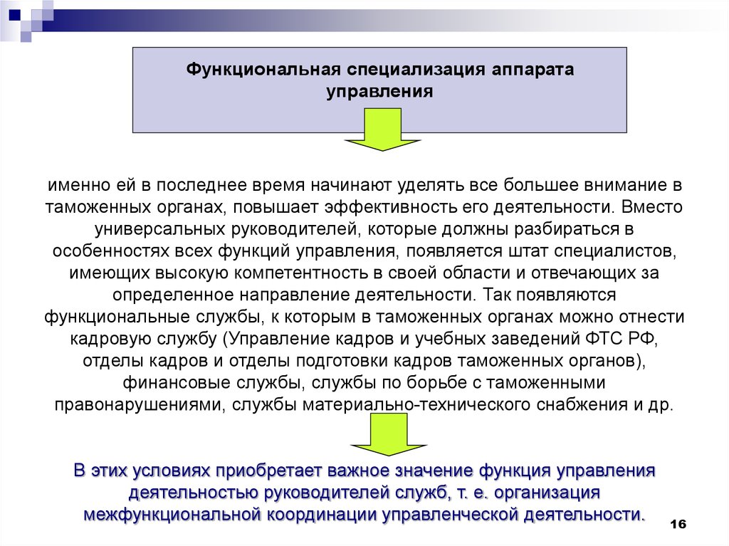 Аппараты специализации. Организационная структура управления таможенных органов. Функциональная структура управления таможенными органами. Специализация таможенных органов. Особенности организационной структуры таможенных органов.