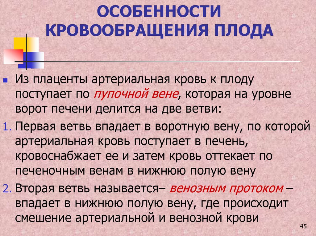 Кровоснабжение плода картинка